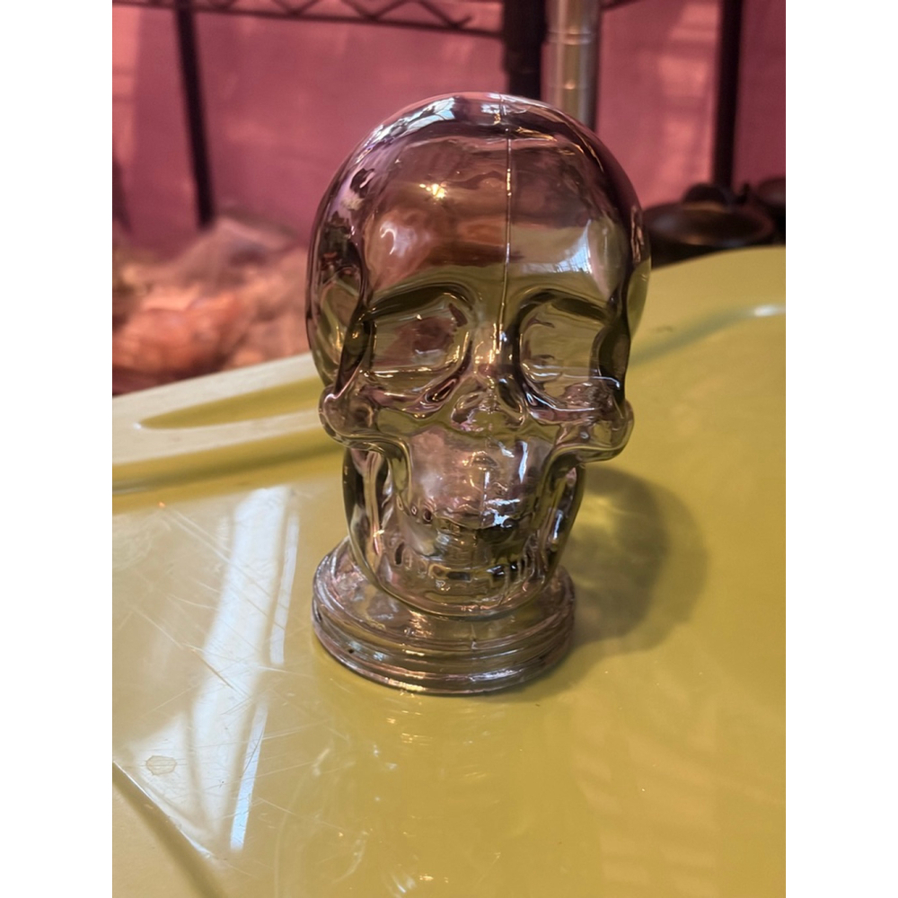 Unbranded Gray Glass Skull Decor One Size
